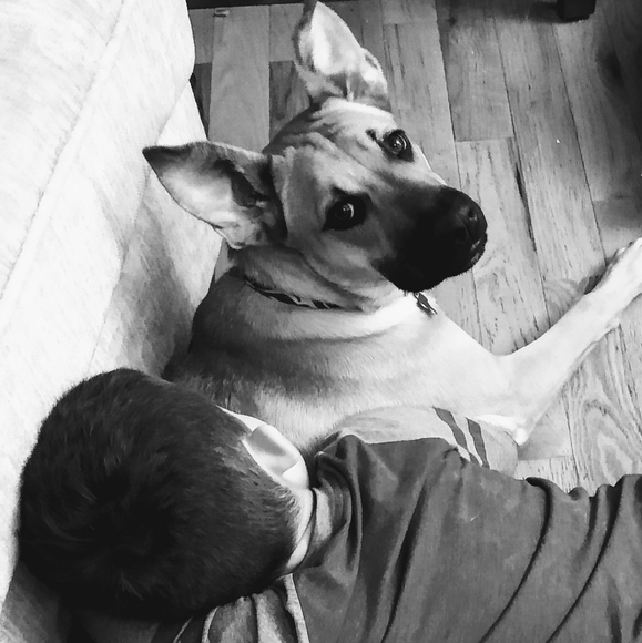 UPDATE - Picture 2 of 3